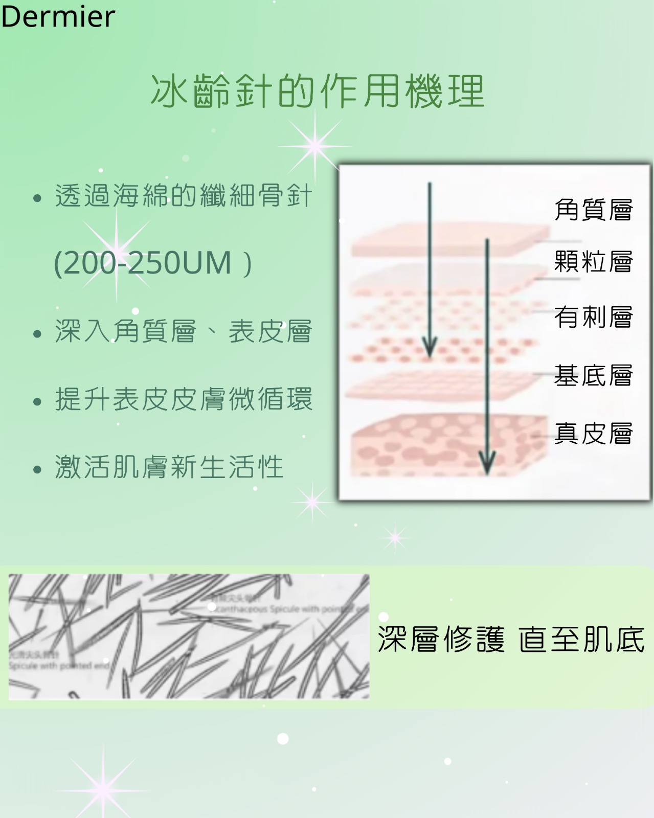 f980f9d3-0c27-4a4d-a791-33696fc4ddab.jpg