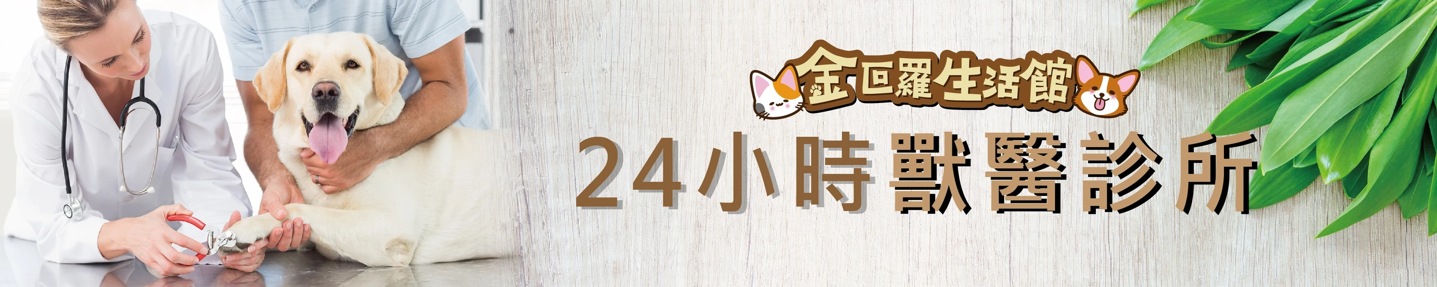 2025年最新】全港24小時獸醫診所一覽- goldenpetpetshop