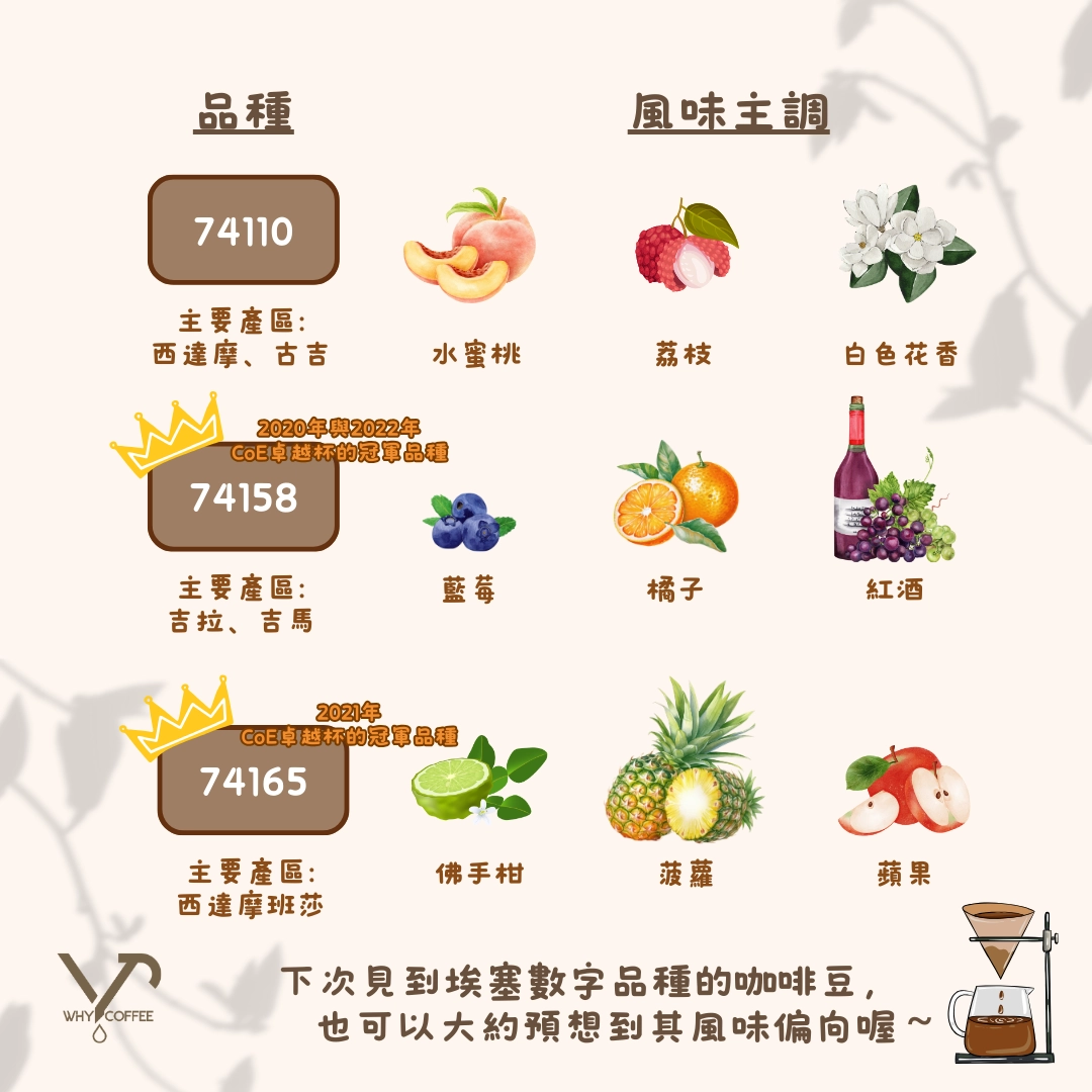 ☕️咖啡解碼📟】 數字品種嘅咖啡你聽過嗎？ - Why Coffee HK